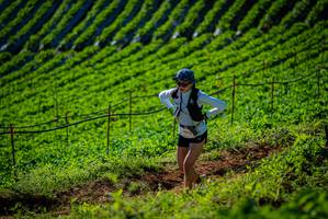 BIB: 
                            <button type="button" onclick="openModal(19160991)" class="btn btn-primary btn-sm float-right btn-popup" data-toggle="modal" data-target=".modal-high-quality">
                        <i class="fas fa-shopping-cart"></i> Add to Cart
                    </button>
                                            <button type="button" onclick="isThisMe(19160991, true)" class="btn btn-success btn-sm float-right btn-popup btn-isme hidden" data-toggle="tooltip" data-placement="bottom" title="นี่คือรูปของคุณใช่ไหม คลิกที่นี่เพื่อเอาเข้าอัลบั้ม">
                        <i class="fas fa-plus"></i> Add to album
                    </button>
                    <button type="button" onclick="isThisMe(19160991, false)" class="btn btn-warning btn-sm float-right btn-popup btn-isnotme hidden">
                        <i class="fas fa-ban"></i> Remove from album
                    </button>